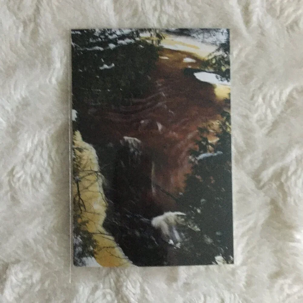 Set of 4 Original Canadian Winter Photographs Icy River Mossy Bark Nature Art - Picture 5 of 7